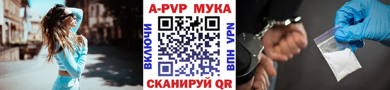 закладка  Кузнецк  APVP СК 