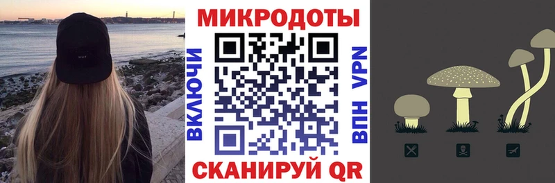 блэк спрут рабочий сайт  Кузнецк  Галлюциногенные грибы Psilocybe 