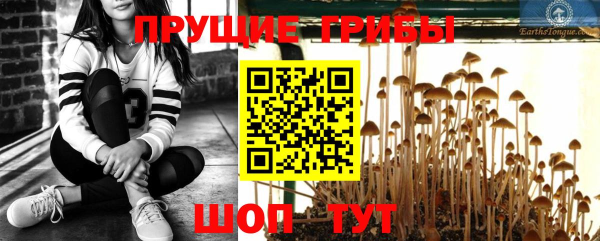 Галлюциногенные грибы Cubensis Кузнецк