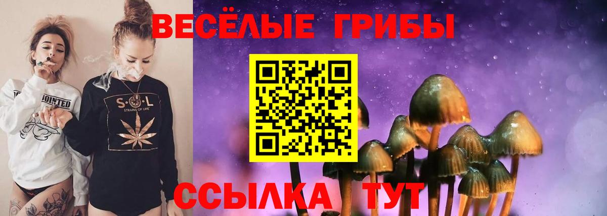 Кузнецк  Псилоцибиновые грибы мицелий  Вход с VPN 