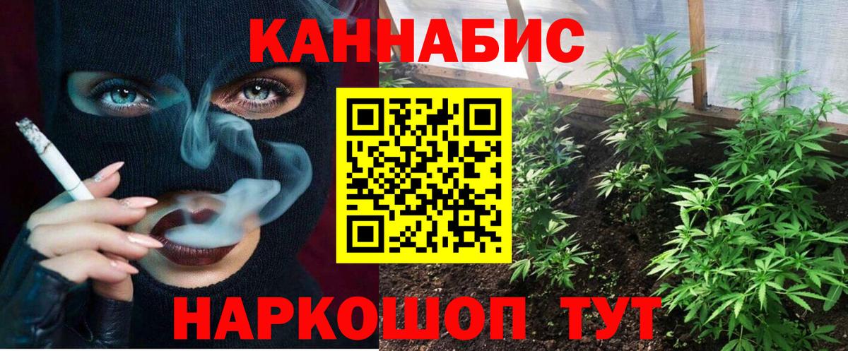 Бошки марихуана сатива  Канабис сатива  Бошки Шишки тримм  Кузнецк  Вход с VPN 